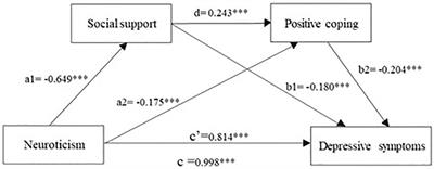 The chain mediating role of social support and positive coping between neuroticism and depressive symptoms among graduate students